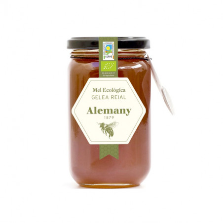 Royal Jelly honey jar 500 gr
