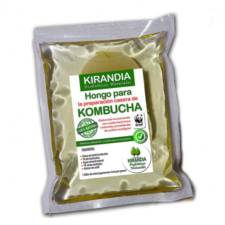 Kombucha prepare basic kit