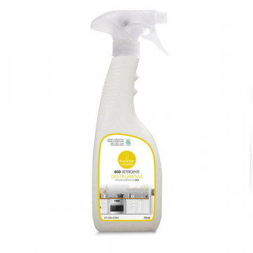 QUITAGRASAS LIMÓN 750 ML