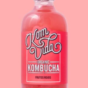 KOMBUCHA FRUTOS ROJOS  250 ML