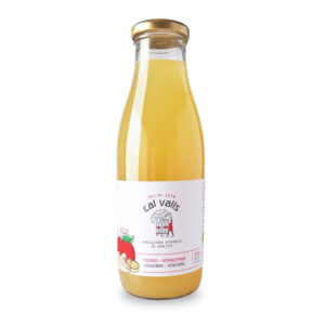 JUGO MANZANA JENGIBRE 750 ML