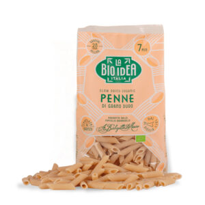 MACARRONES PENNE PLUMA TRIGO 500 GR